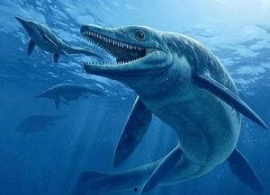 史前第三极,揭开青藏高原神秘面纱的考古之旅