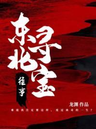 东北寻宝往事,探寻古董珍宝的传奇之旅