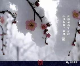 曾许99杯暖，终饮半生寒,终尝岁月寒凉——半生饮尽冷暖人生