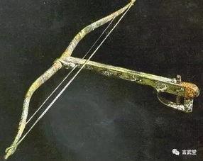 弓蕉园的秘密,探寻神秘园中的传奇故事